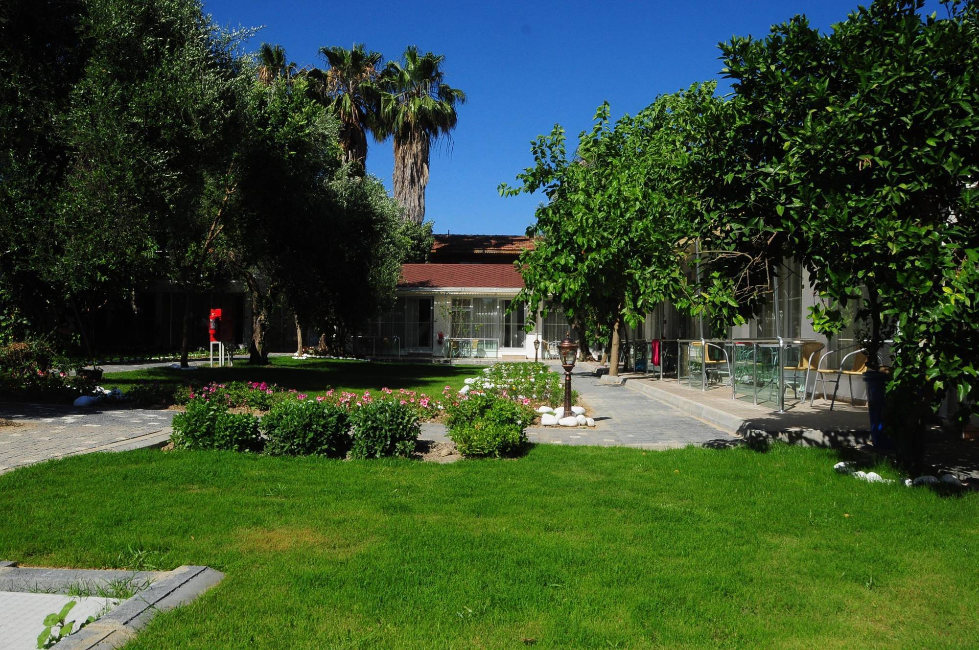 Clover Magic Altinkum Park 3* Side